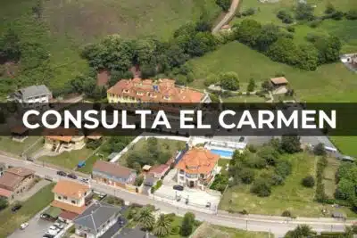 Consulta El Carmen