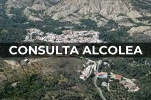 Consulta Alcolea