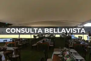 Consulta Bellavista