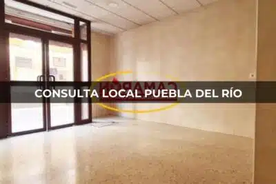Consulta Local Puebla del Río